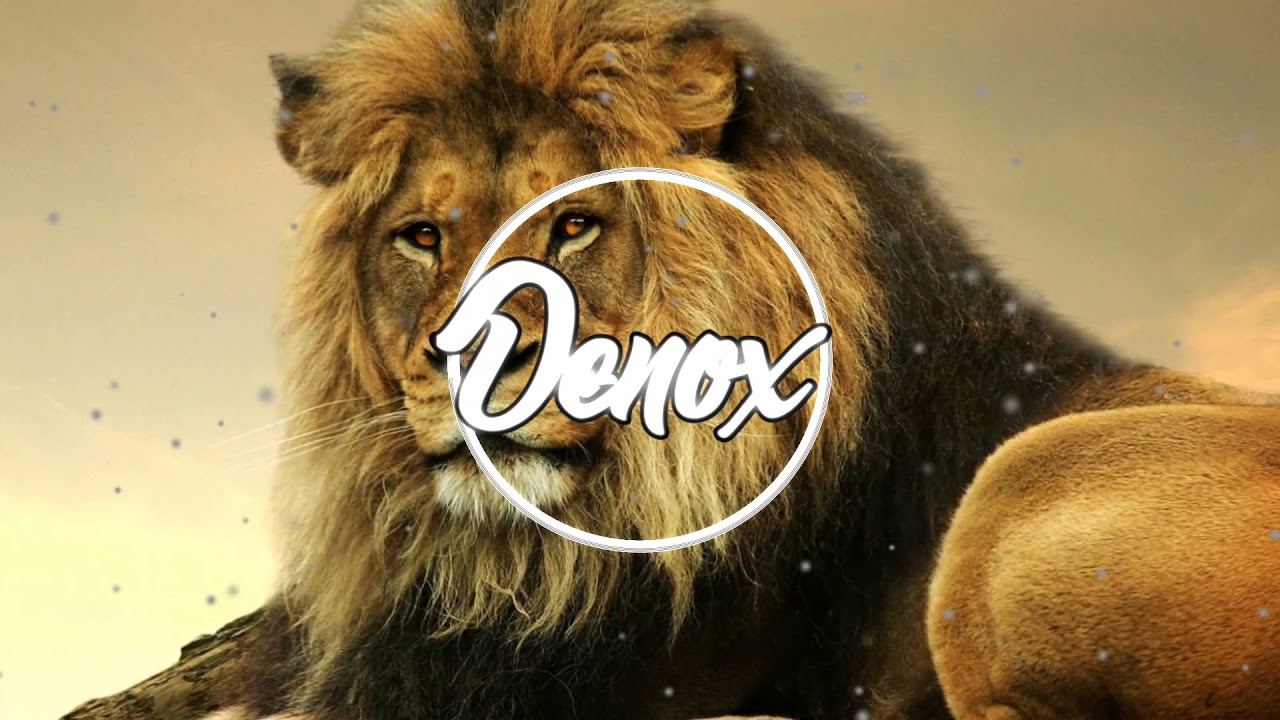 DPSD_X_ZESKINE_-_afro_africa_2G18