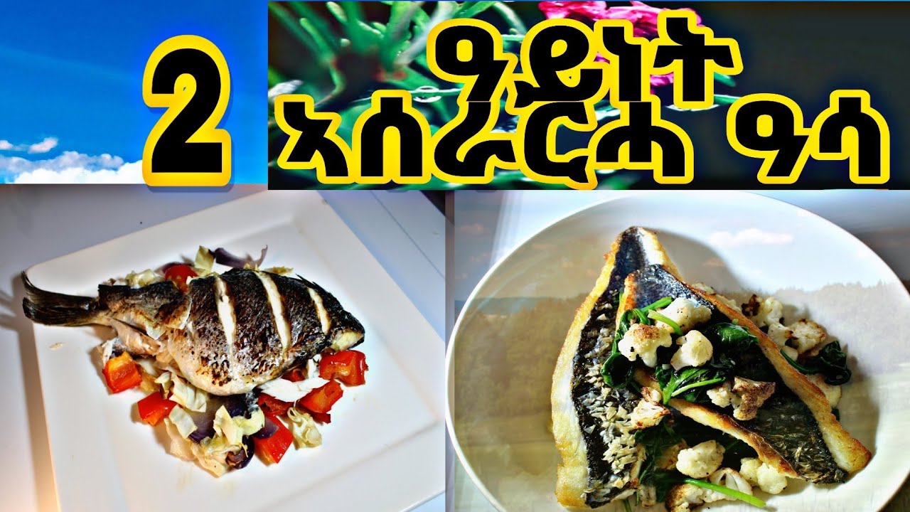 2 Aynet aserarha Asa/ ዓይነት ኣሰራርሓ ዓሳ #13