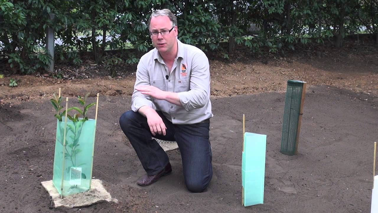 How to install Tree Guards by All Stake Supply