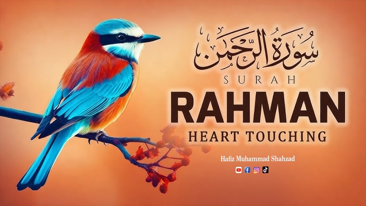 Surah Rahman Tilawat Quran Best voice | سورۃ الرحمن | Quran Tilawat by Hafiz Muhammad Shahzad