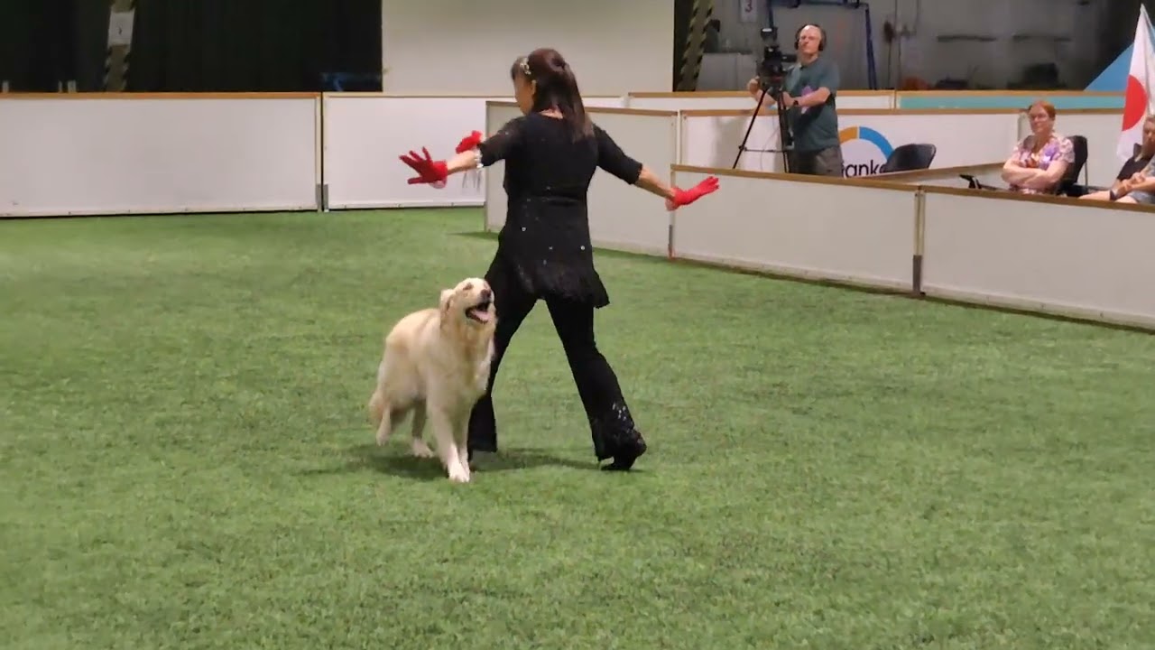 FCI DOG DANCING WORLD CHAMPIONSHIP 2025　HTM   8/1