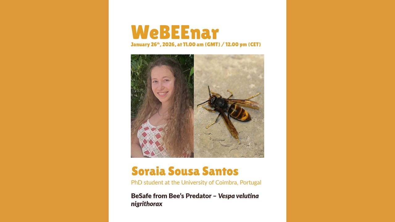 15th WeBEEnar - Dr. Soraia Santos - BeSafe from Bee’s Predator – Vespa velutina nigrithorax
