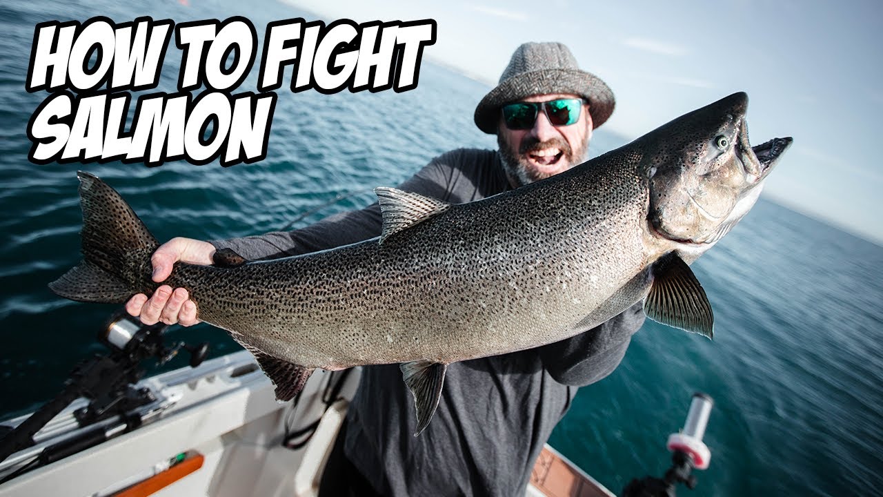 How to Fight GIANT Salmon on Lake Ontario