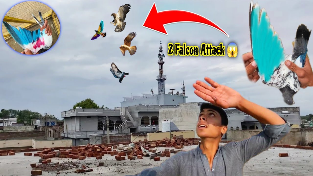 Baaz Ka Main 
