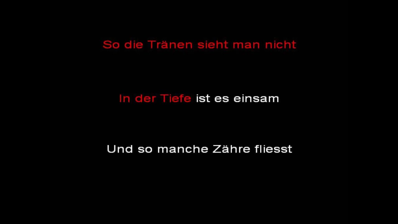 Rammstein - Haifisch (instrumental with lyrics)