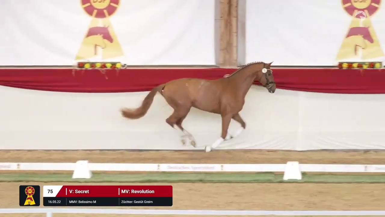Lot 75 v. Secret / Revolution