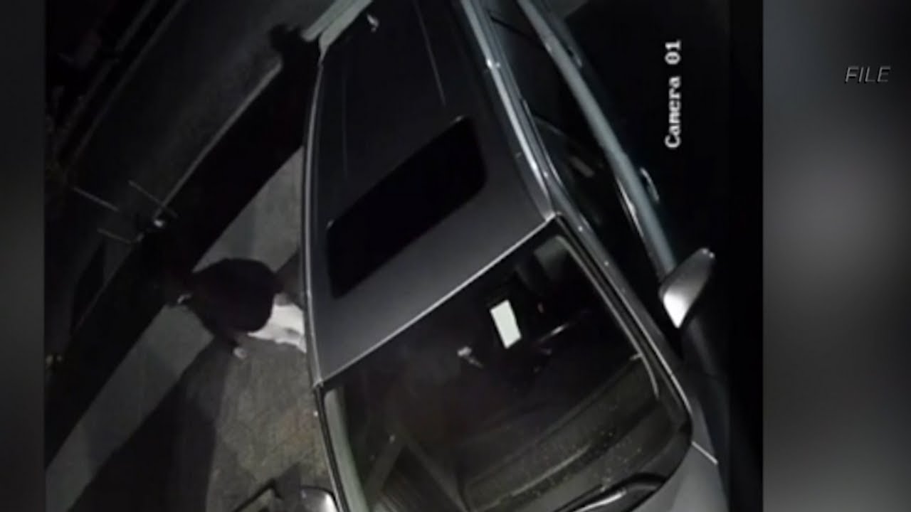 Auto theft summit set to begin in Ottawa on Thursday