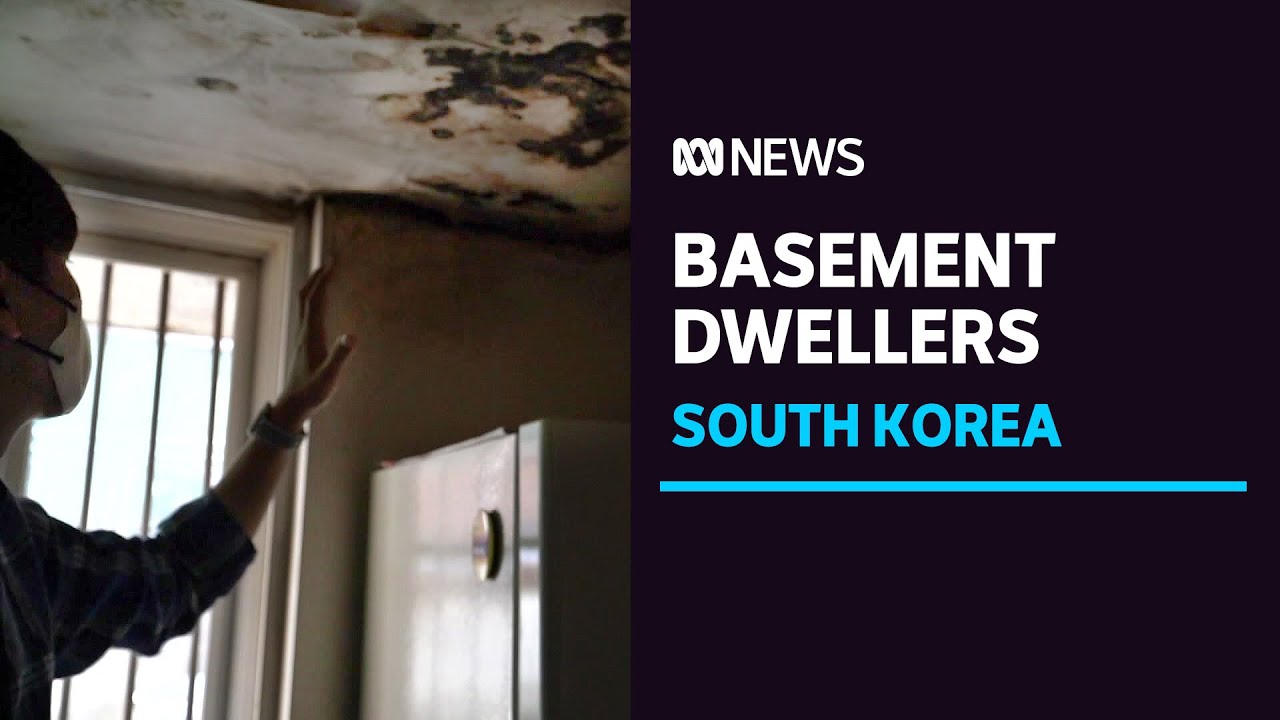 Seoul's poorest left languishing in flood-damaged basement homes | ABC News