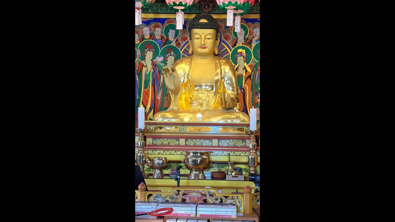 경타청호스님(제주대원정사극락원)님의 실시간 스트림