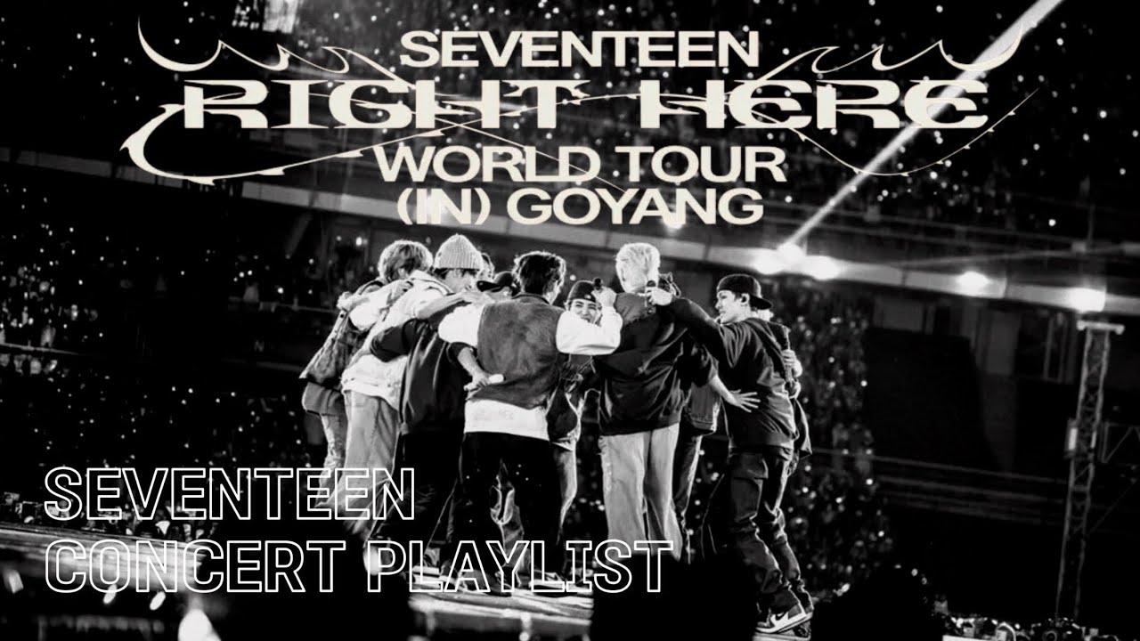 [SVT PLAYLIST] 세븐틴 캐럿 👏👏 SVT RIGHT HERE IN GOYANG | 라잇 히어 고양콘 플리 | 콘서트 사운드