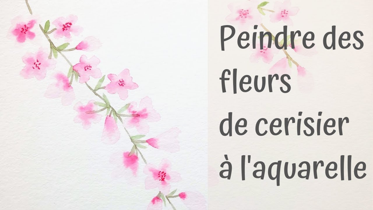Peindre des fleurs de cerisier à l'aquarelle facilement