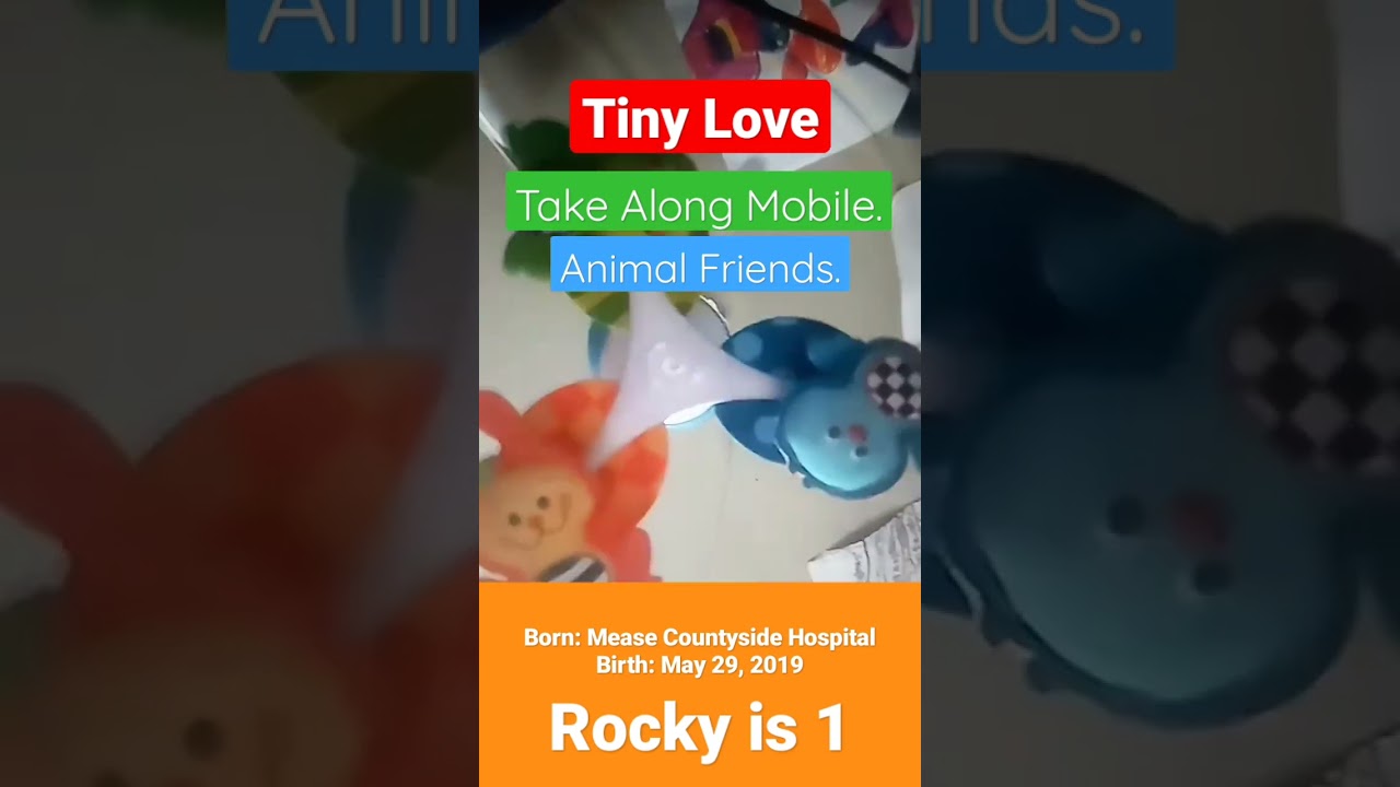Tiny Love Take Along Mobile Animal Friends, Rocky is 1 year old #Shorts #babyboy #tinylove