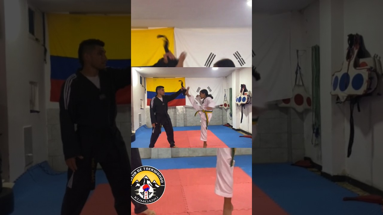 AN DARY CHAGUI           BAKAT DARY CHAGUI taekwondo 🥋