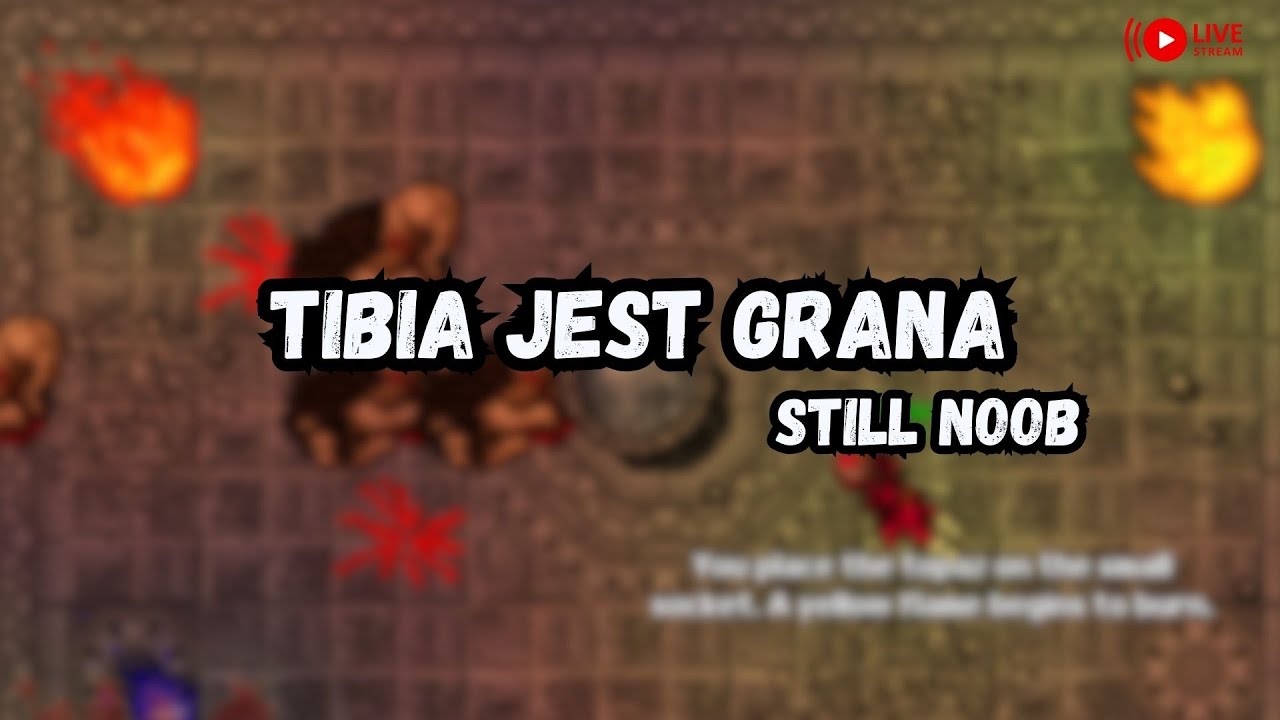 TIBIA  JEST GRANA - STILL NOOB