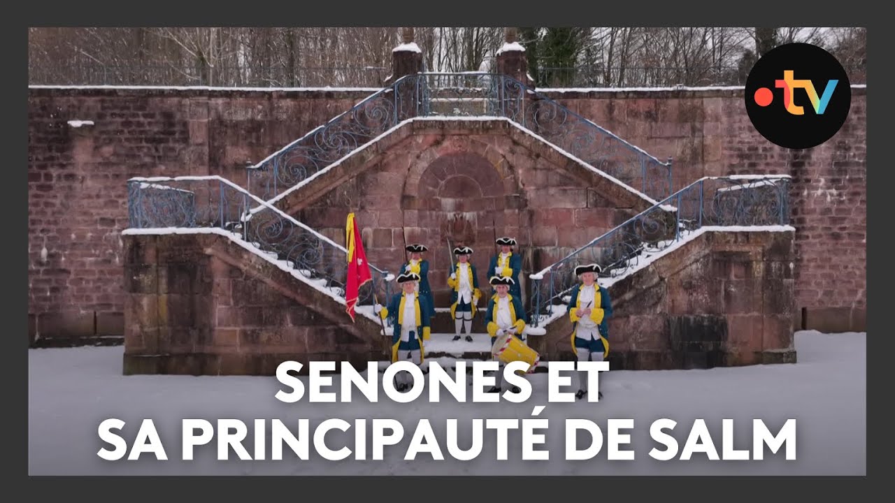 Senones :