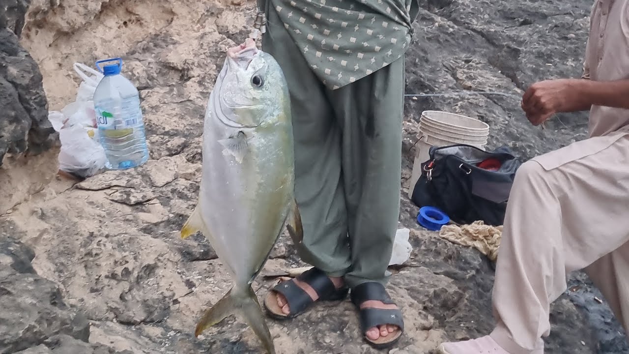 big fish catch in salalah oman..&lrm;. @Deepbluesea07&nbsp; @itmeenavan-fishinglife @RAWWFishing