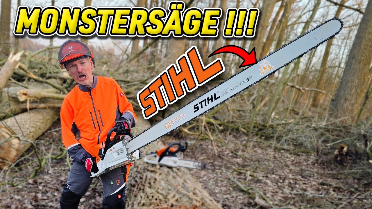 GRÖSSTE vs KLEINSTE STIHL! MS 881 (150cm! Schwert) im TEST