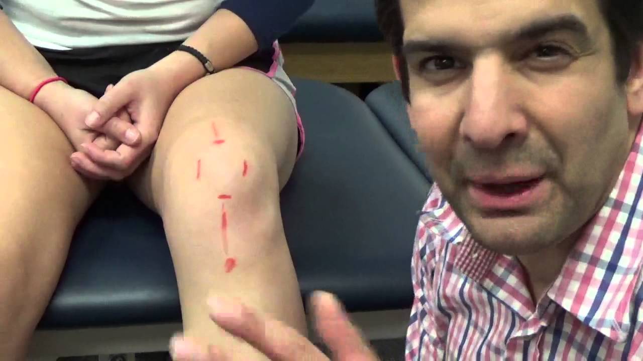 Knee and Leg