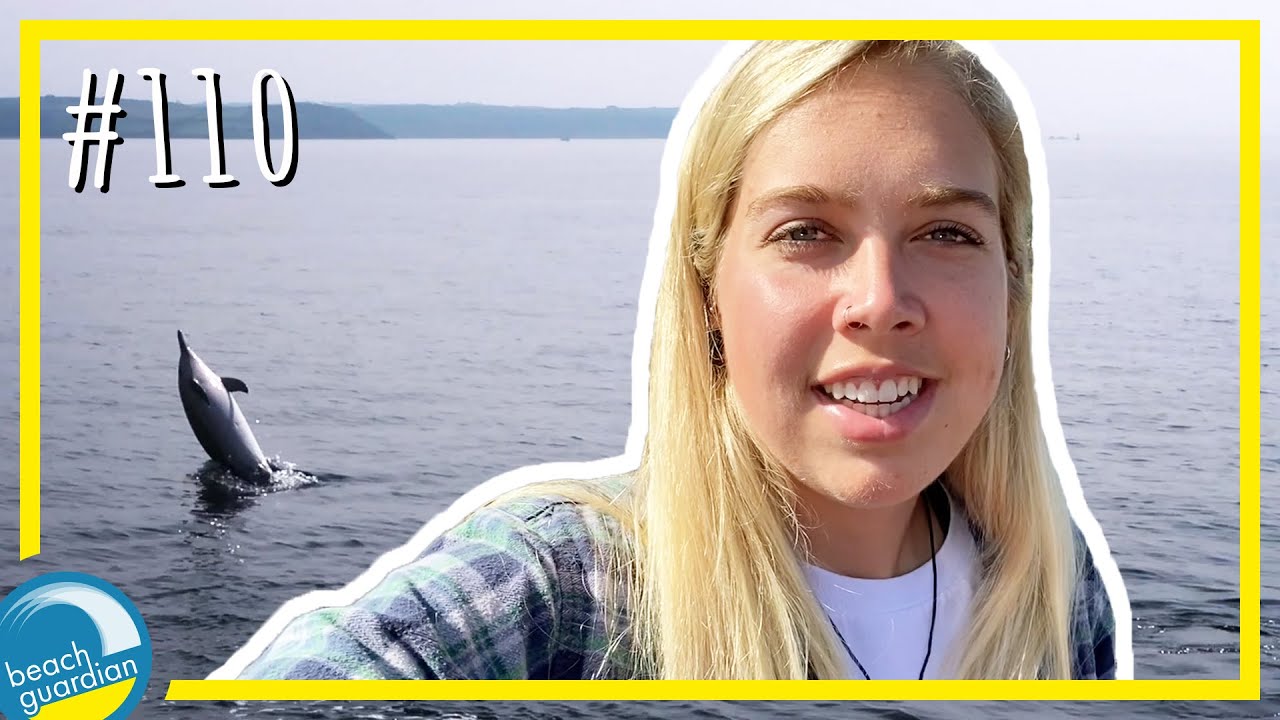 SO MANY DOLPHINS SPOTTED! Cornwall south coast wildlife cruise BOAT TRIP!