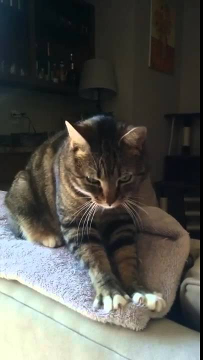 Elli and the towel