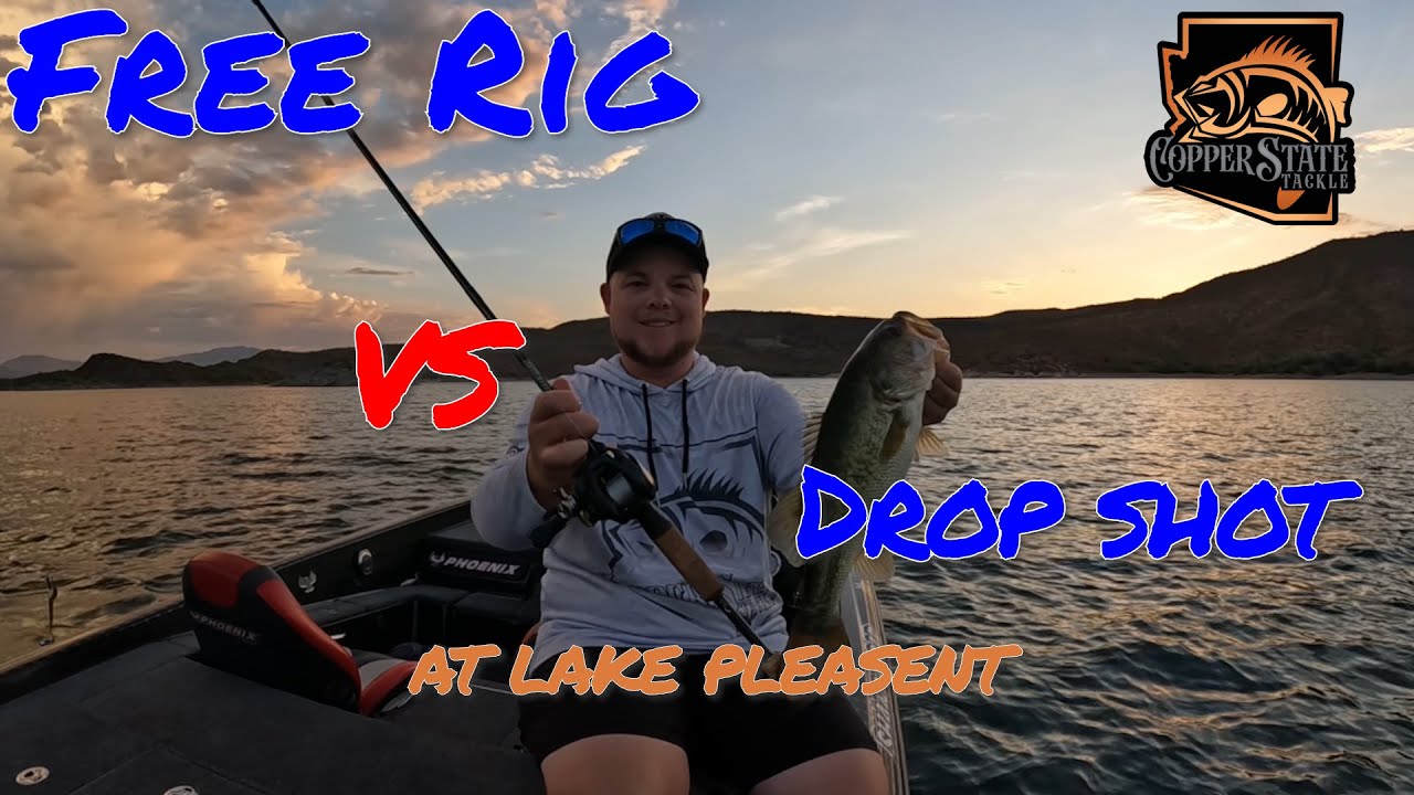 Free Rig VS. Drop Shot At Lake Pleasant Arizona! Plus How To Rig Them!