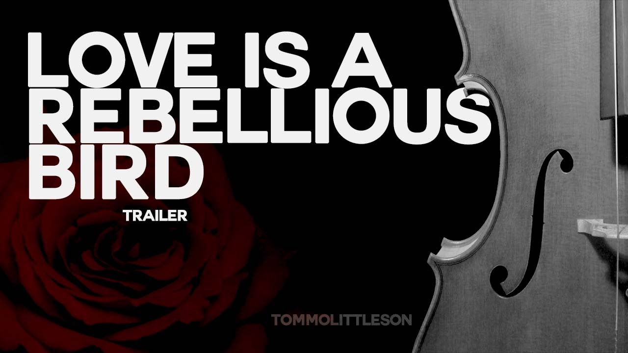 Love Is A Rebellious Bird | Larry Stylinson