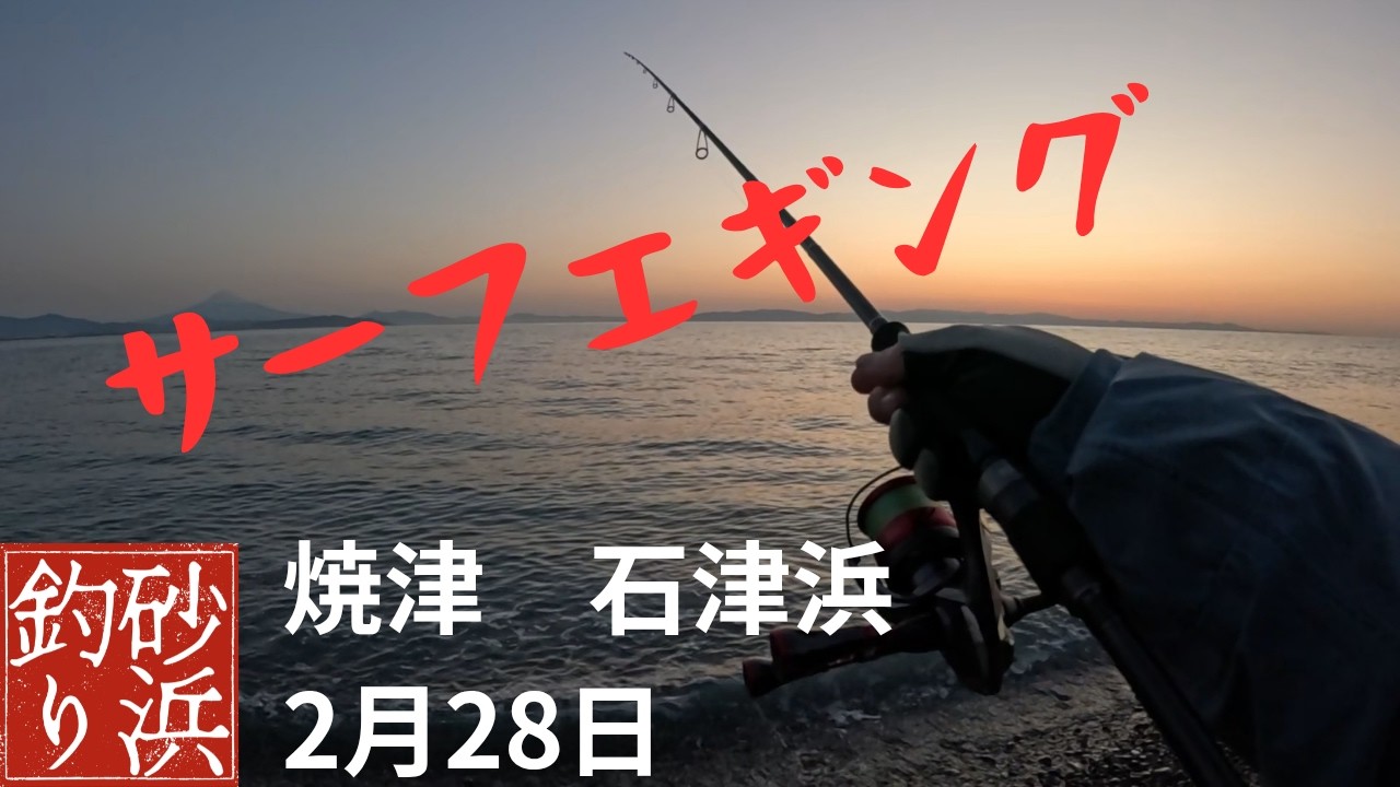春のデカイカ狙い　石津浜でサーフエギング