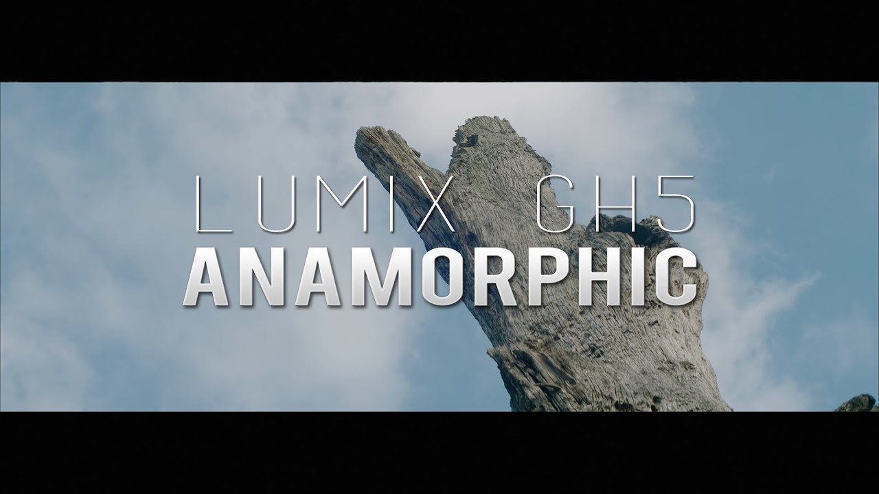 TEXTURES | Lumix GH5 Anamorphic 6K (Kowa B&H + Rectilux HCDNA)