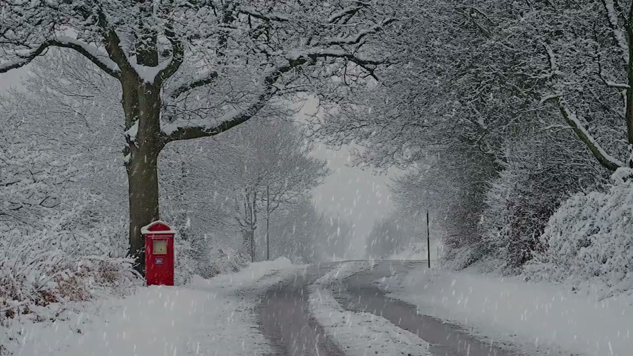 Winter Dawn on an Empty Road with Snow Falling and the World Holding Its Breath