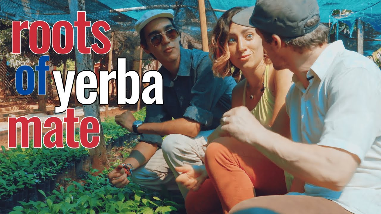 Where Does Yerba Mate Come From || Getting Amongst In Paraguay || Part 2 Of 6