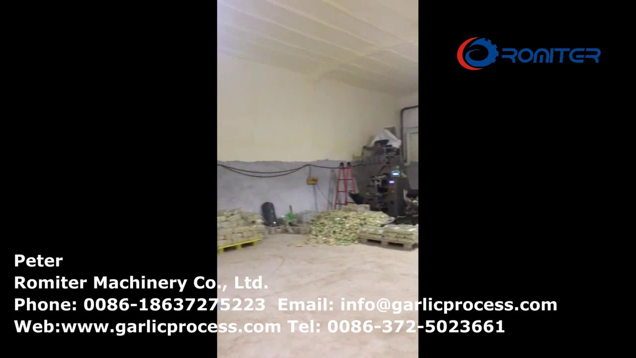 Full Automatic Peeled Garlic Clove Packing Plant Workshop