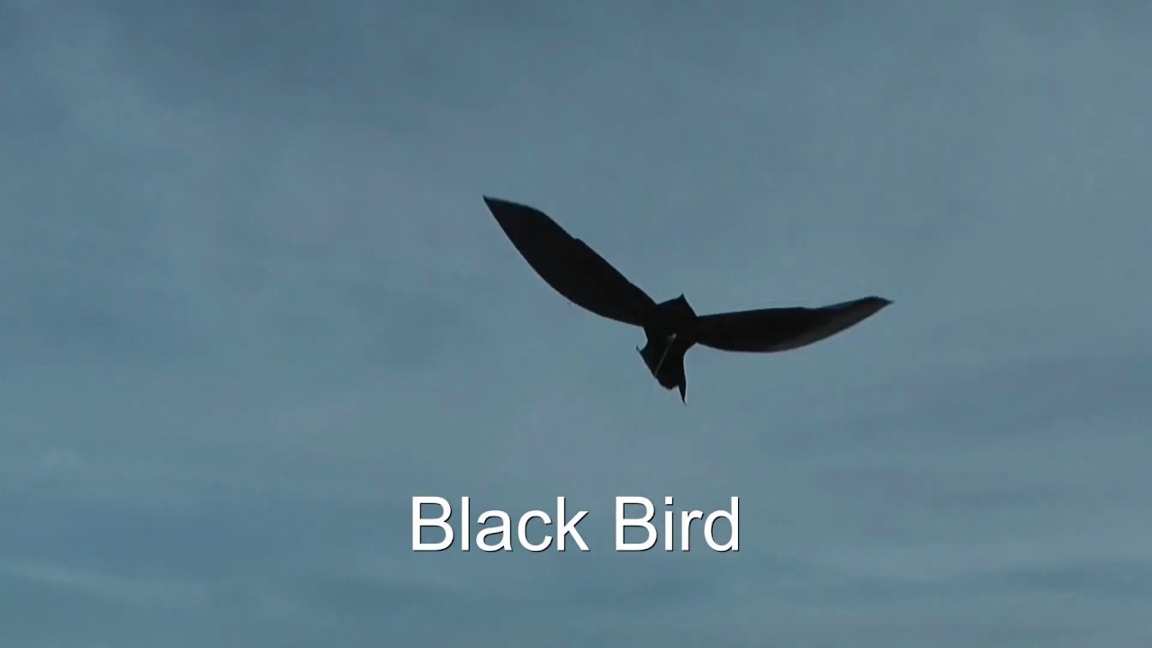 How to make a Magic Wing Kite ( Development and Design by Rudiger Groning, Muenster, Germany)