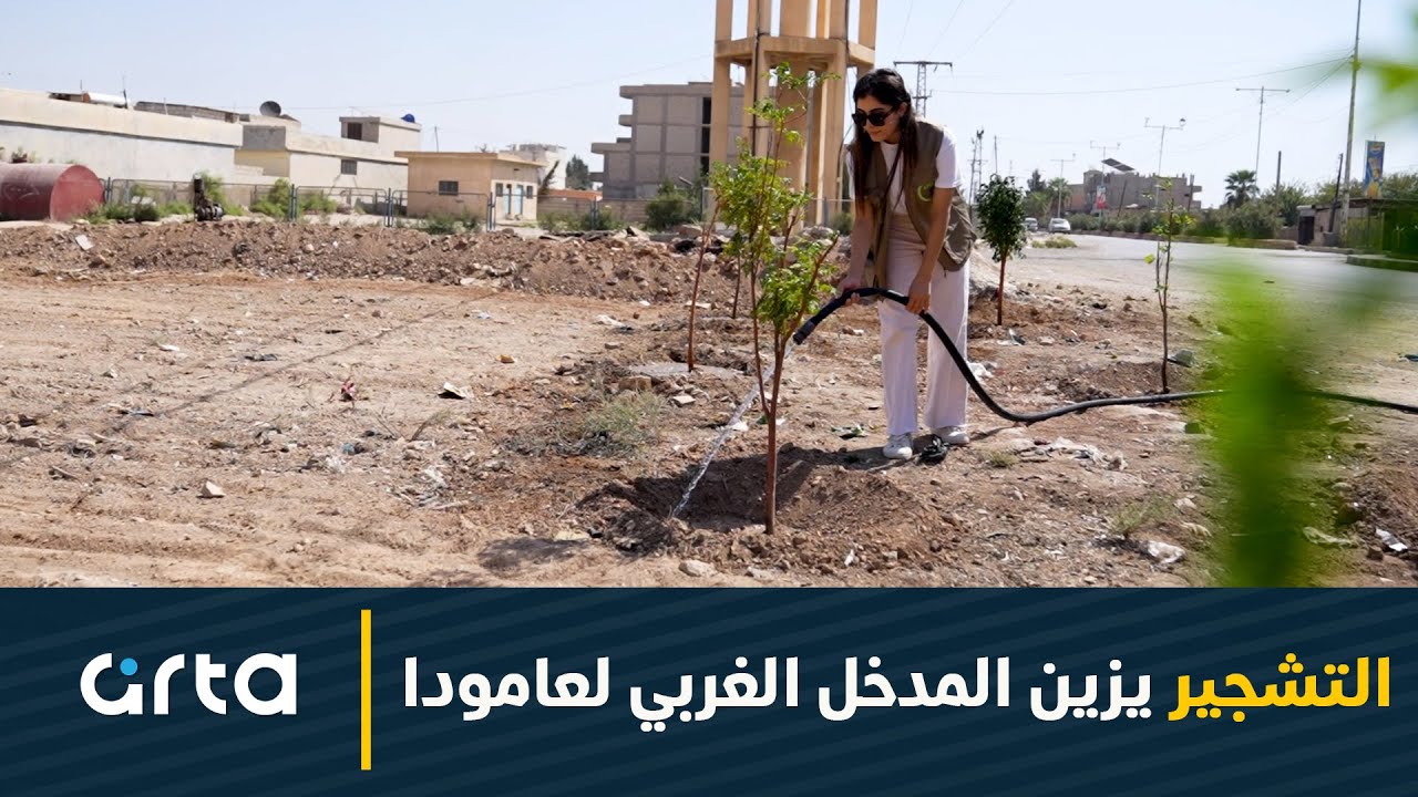التشجير يزين المدخل الغربي لعامودا