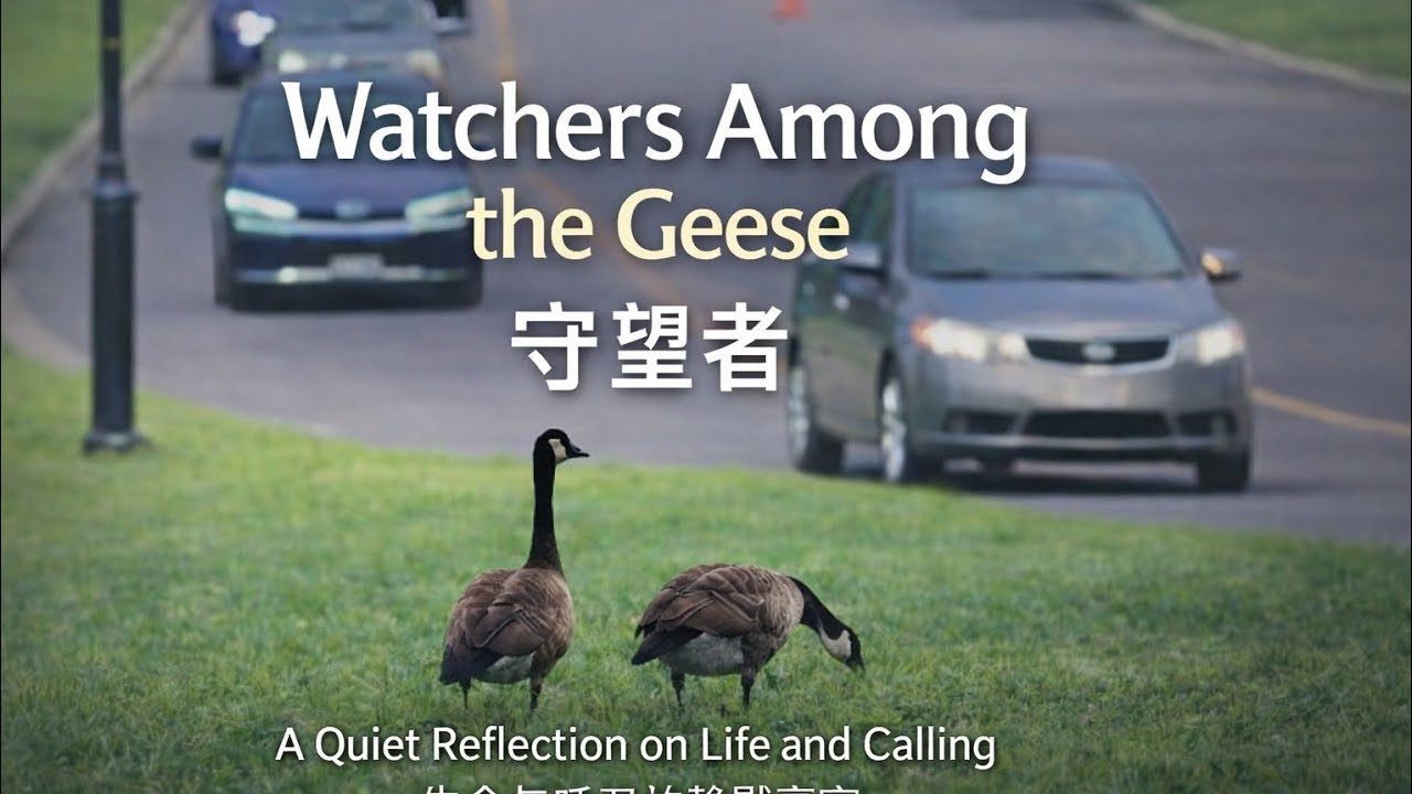 Watchers Among the Geese｜Life Moving Further(Male Vocal)群雁中的守望者｜生命走向更远 V4 · M03 · P02 · U03 · S02