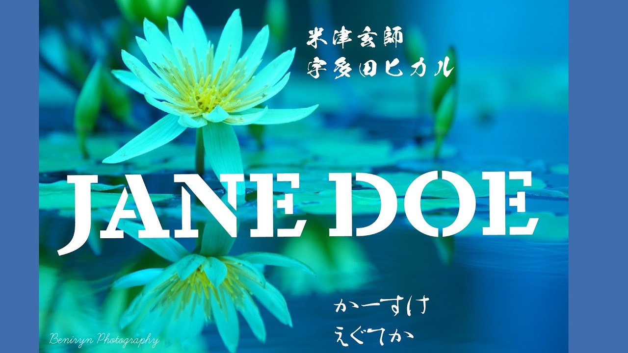 米津玄師，宇多田ヒカル／JANE DOE【うたスキ動画】