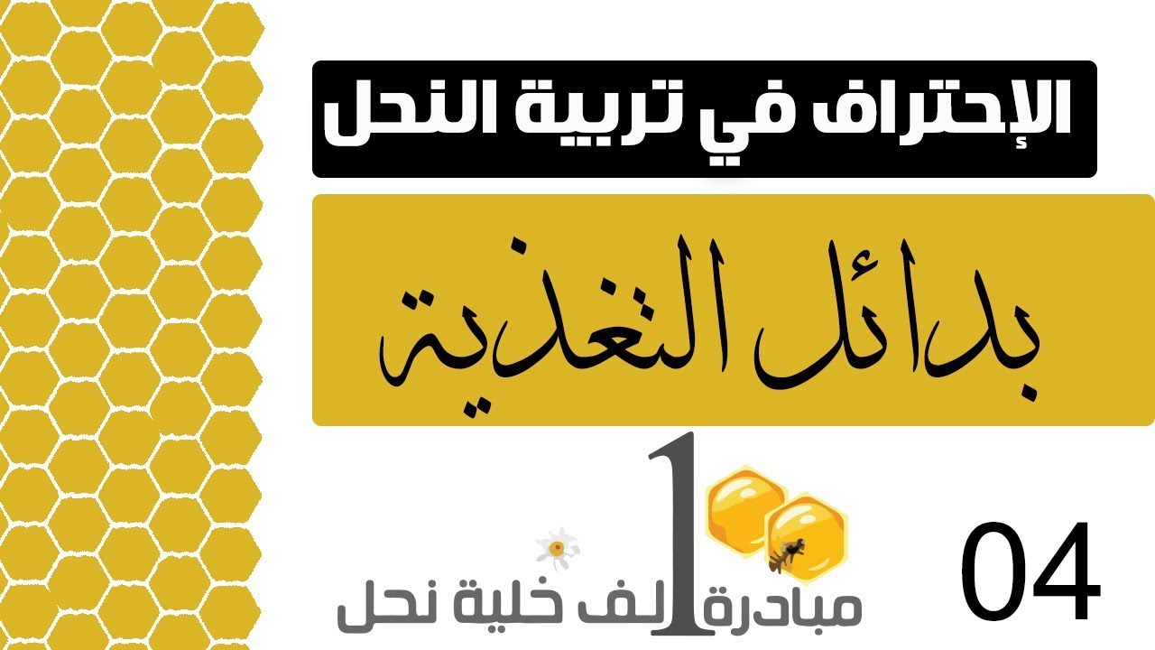 الإحتراف في تربية النحل - بدائل التغذية -ورشة العمل في جازان