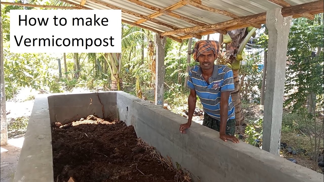 Vermicompost preparation in Tamil / Benefits of Vermicompost / மண் புழு உரம் தயாரிக்கும் முறை