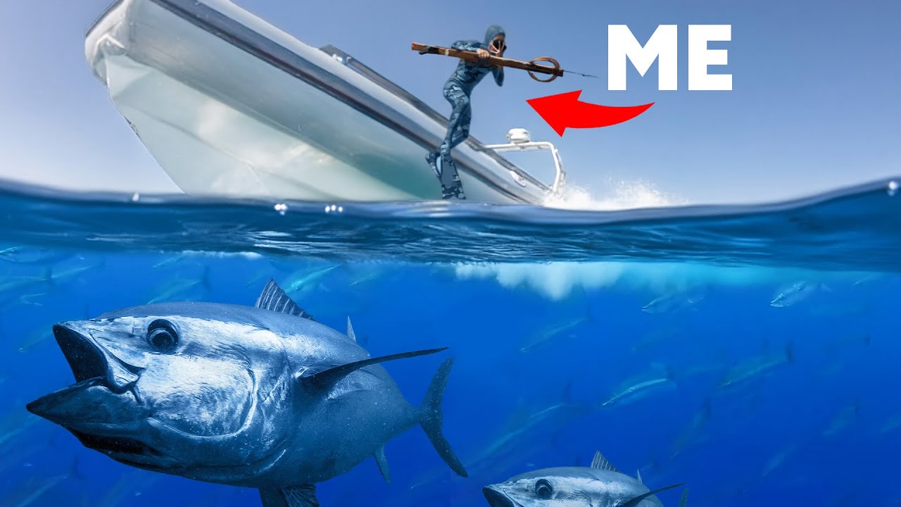 The Most EPIC Bluefin Tuna Spearfishing!