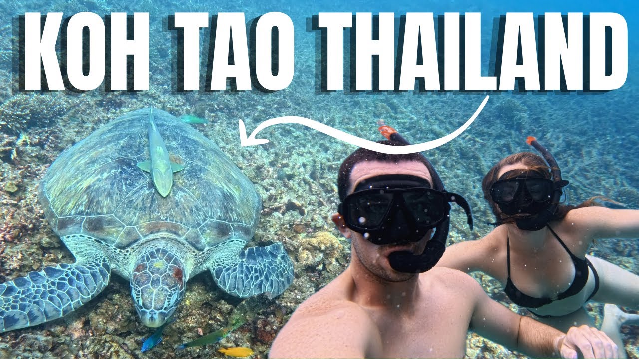 Наше приключение на острове Черепахи | Ко Тао, Таиланд 🇹🇭