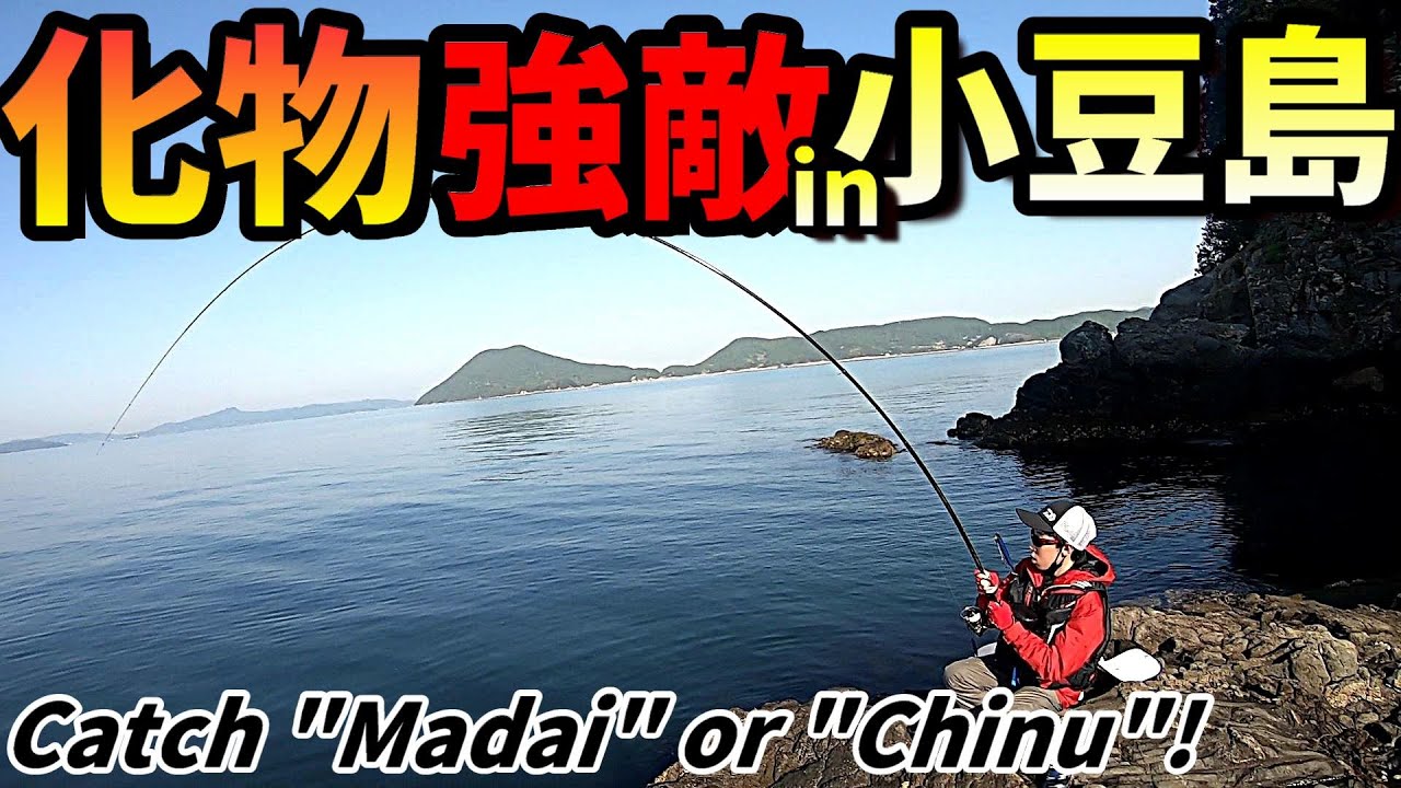 【強敵】化け物だらけの海域でマダイ&チヌを釣れ！in香川県小豆島