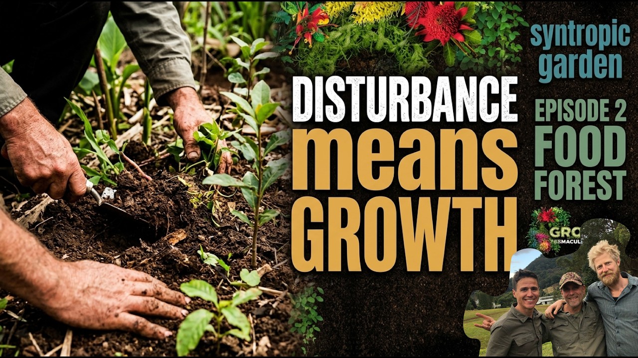 DISTURBANCE means GROWTH 👨🏽‍🌾