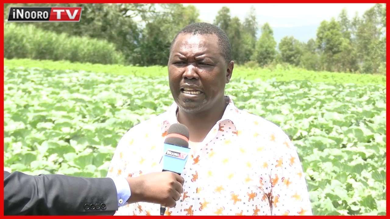 Uge wa mũingĩ wĩgiĩ Mbura, ũrimi na ũcenjia wa rĩera, Nyeri #UgeWaku