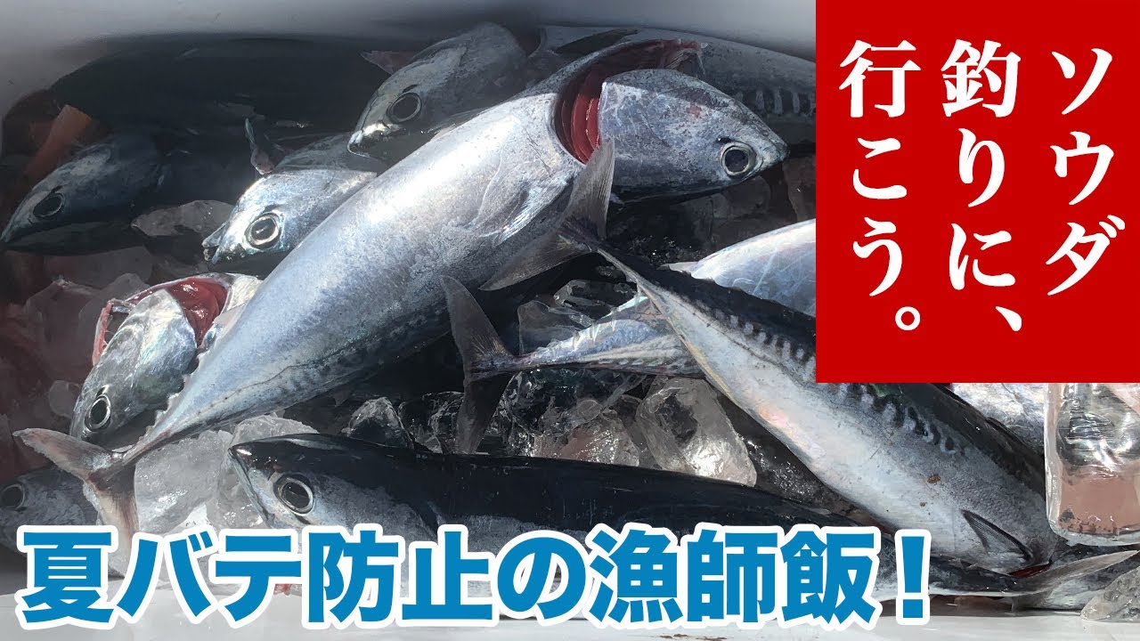夏バテ防止の漁師飯！ソウダ 釣りに、行こう