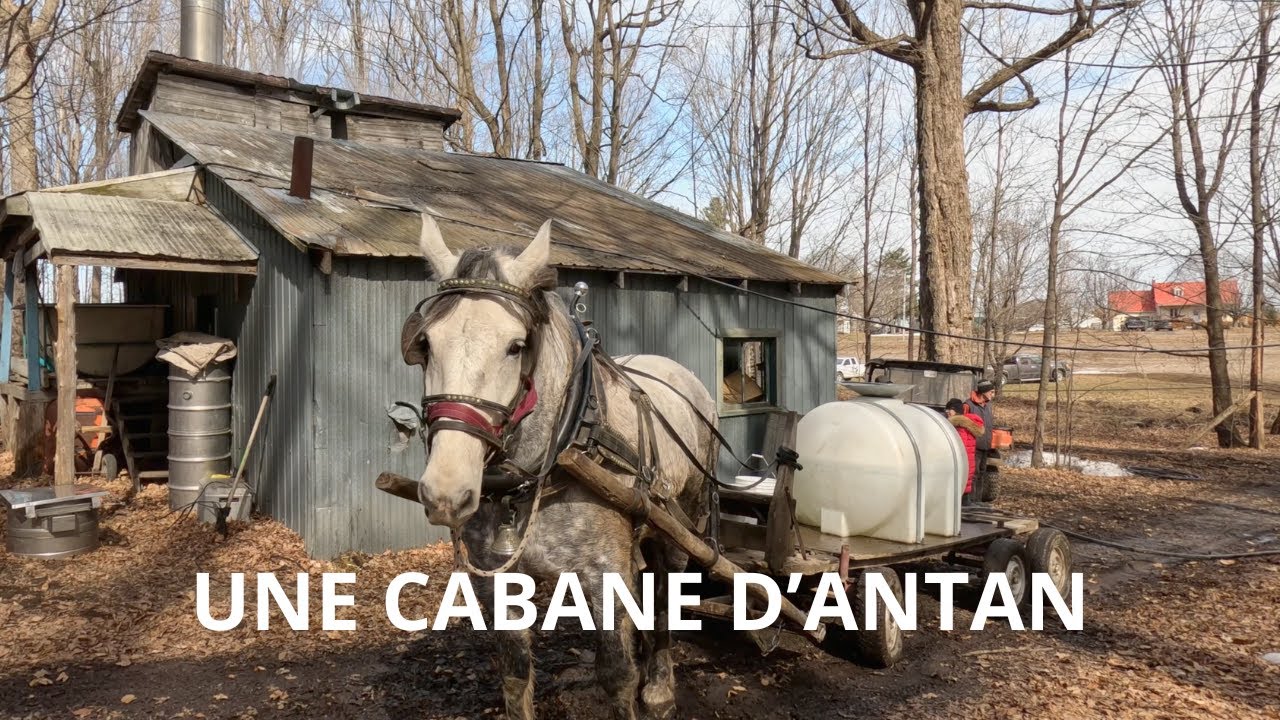 LE QUÉBEC / UNE CABANE D'ANTAN / LE TEMPS DES SUCRES / Épisode 58