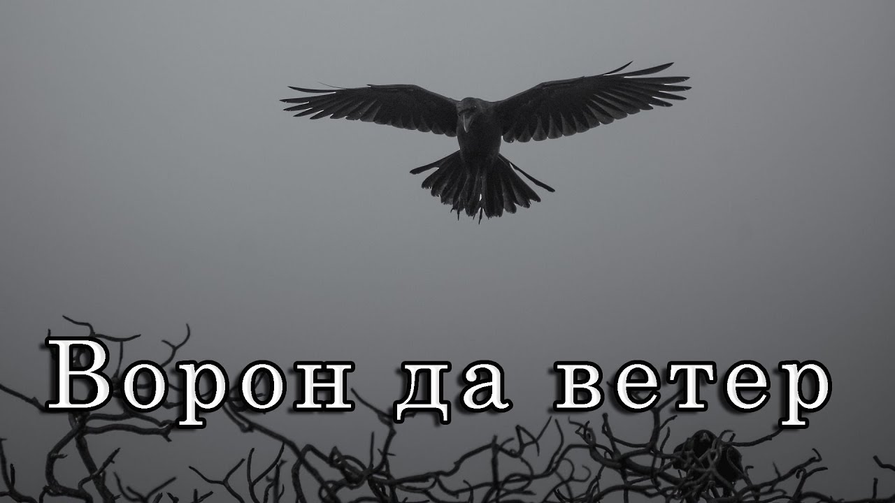 Николай Джинчарадзе — Ворон да ветер.
