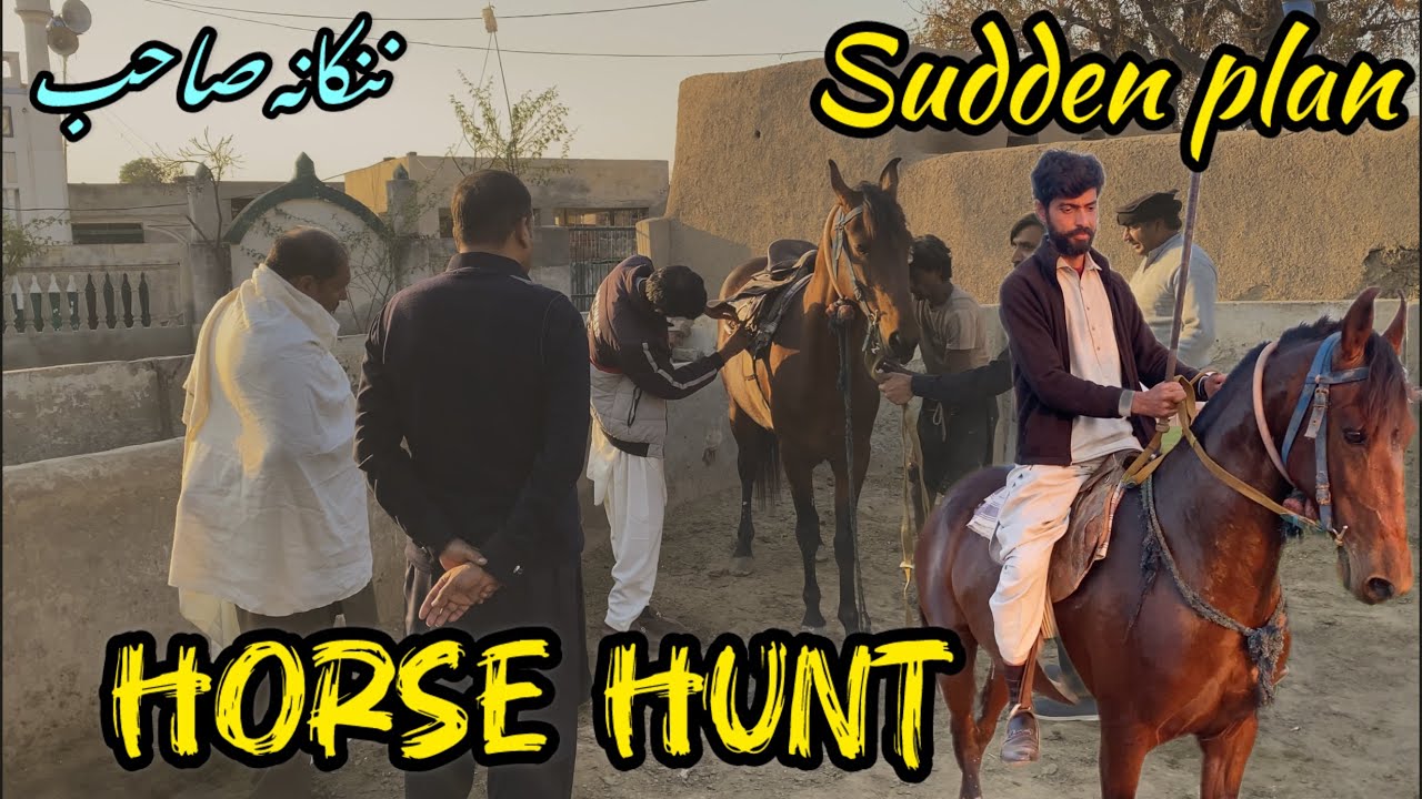 Baba Guru-nanak | Gujranwala Se Nankana tak ka safar | Horse Hunt 2026 | Dilruba Ki khidmat khatir 🥰