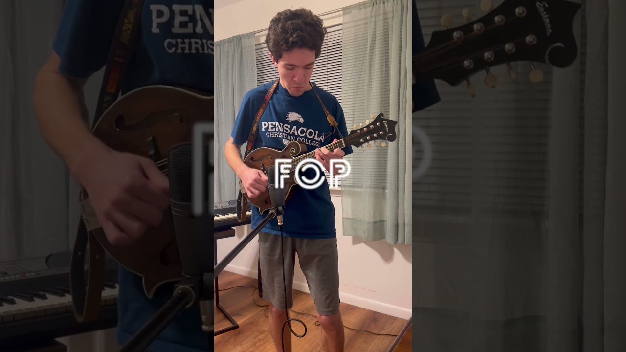 Folk + Pop = (?)