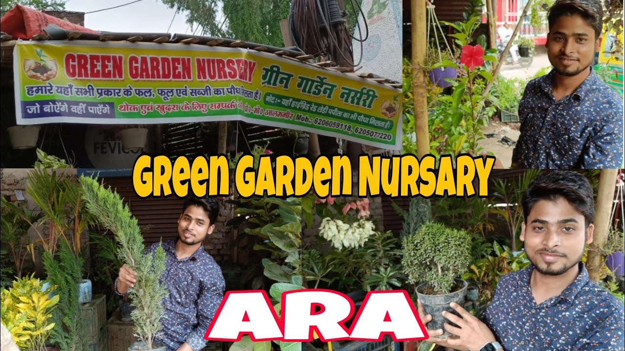 Green Garden Nursery Ara .@stvlogsara #arrah #bihar #garden