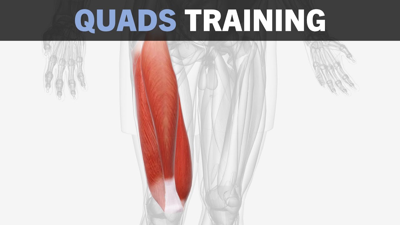 Quadriceps Hypertrophy Training Fundamentals