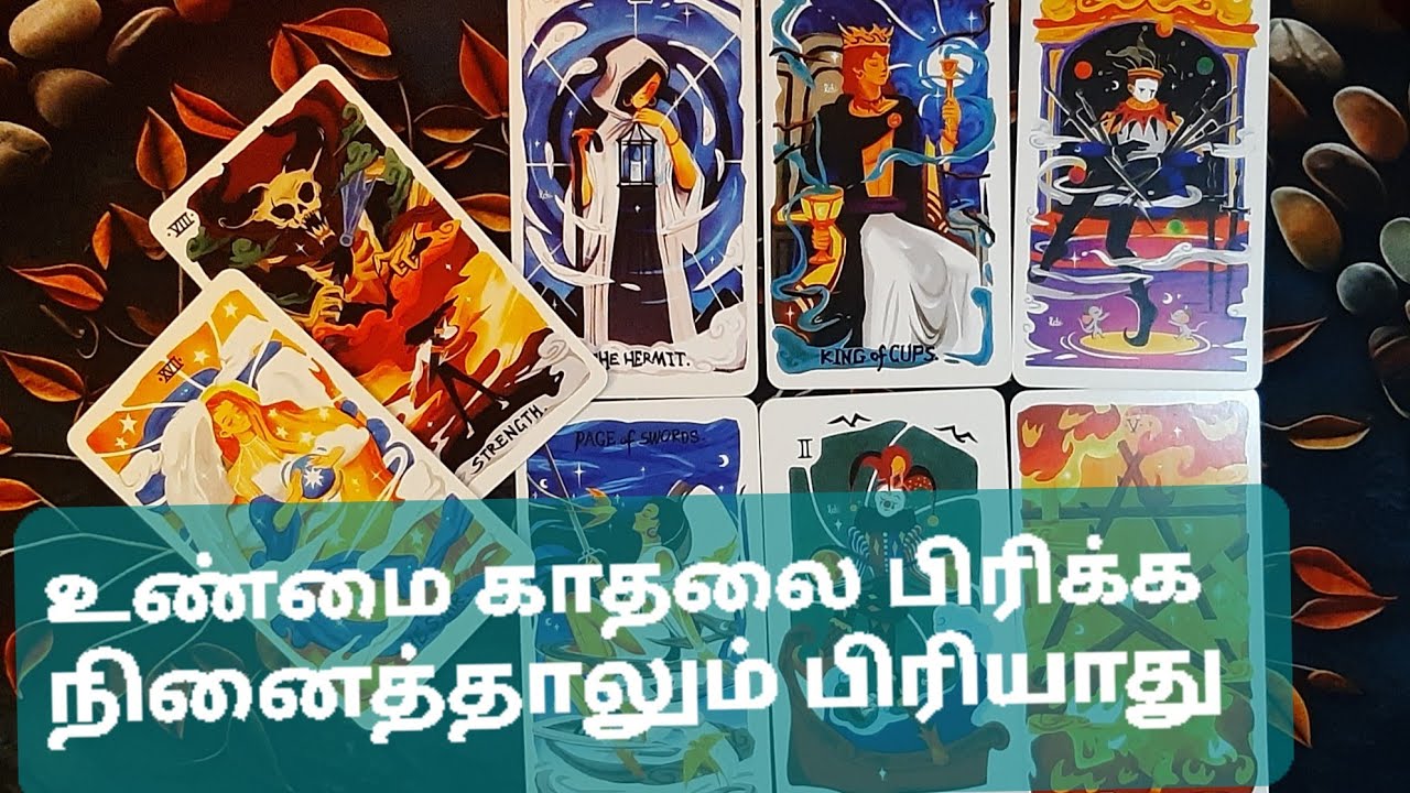 🧿 | உண்மை காதலை பிரிக்க நினைத்தாலும் பிரியாது | பிரபஞ்சம் 💑 #tamiltarotreading